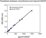 Human VEGF ELISA Kit