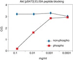 Human AKT1 (Phospho) [pS473] ELISA Kit, Ultrasensitive