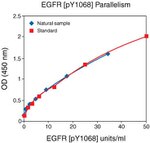 Human EGFR (Phospho) [pY1068] ELISA Kit