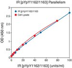 Human IR (Phospho) [pY1162/pY1163] ELISA Kit