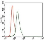 Cytokeratin 13 Antibody in Flow Cytometry (Flow)