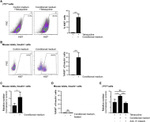 Ki-67 Antibody in Flow Cytometry (Flow)