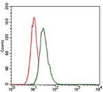 LRP5 Antibody in Flow Cytometry (Flow)