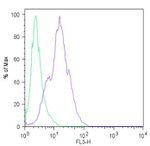 LIN28A Antibody in Flow Cytometry (Flow)