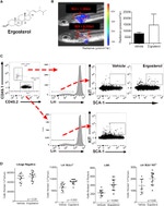 Ly-6A/E (Sca-1) Antibody in Flow Cytometry (Flow)