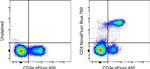 CD4 Antibody in Flow Cytometry (Flow)