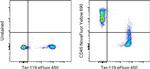 CD45 Antibody in Flow Cytometry (Flow)