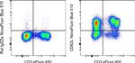 CD62L (L-Selectin) Antibody in Flow Cytometry (Flow)