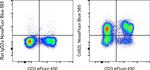 CD62L (L-Selectin) Antibody in Flow Cytometry (Flow)