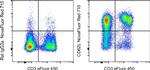 CD62L (L-Selectin) Antibody in Flow Cytometry (Flow)