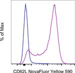 CD62L (L-Selectin) Antibody in Flow Cytometry (Flow)