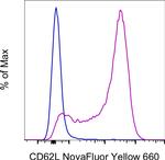 CD62L (L-Selectin) Antibody in Flow Cytometry (Flow)