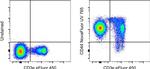 CD44 Antibody in Flow Cytometry (Flow)