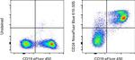 CD24 Antibody in Flow Cytometry (Flow)