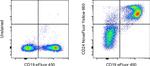 CD24 Antibody in Flow Cytometry (Flow)