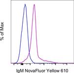 IgM Antibody in Flow Cytometry (Flow)