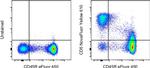 CD5 Antibody in Flow Cytometry (Flow)