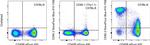 CD90.2 (Thy-1.2) Antibody in Flow Cytometry (Flow)