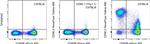 CD90.2 (Thy-1.2) Antibody in Flow Cytometry (Flow)