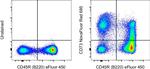 CD73 Antibody in Flow Cytometry (Flow)