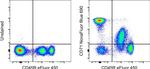 CD71 (Transferrin Receptor) Antibody in Flow Cytometry (Flow)