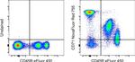 CD71 (Transferrin Receptor) Antibody in Flow Cytometry (Flow)