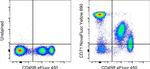 CD71 (Transferrin Receptor) Antibody in Flow Cytometry (Flow)