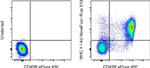 MHC Class II I-Ab Antibody in Flow Cytometry (Flow)