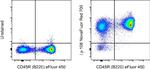 Ly-108 Antibody in Flow Cytometry (Flow)