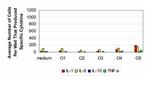 IL-1 beta Antibody in ELISA (ELISA)