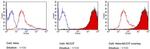 SSEA4 Antibody in Flow Cytometry (Flow)