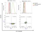 SSEA1 Antibody in Flow Cytometry (Flow)