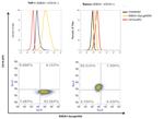 SSEA1 Antibody in Flow Cytometry (Flow)