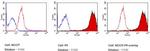 SSEA1 Antibody in Flow Cytometry (Flow)