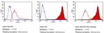 SSEA1 Antibody in Flow Cytometry (Flow)