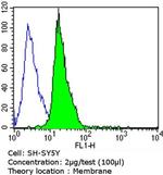 PSD-95 Antibody in Flow Cytometry (Flow)