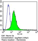 PSD-95 Antibody in Flow Cytometry (Flow)