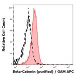 beta Catenin Antibody in Flow Cytometry (Flow)