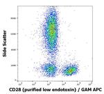 CD28 Antibody in Flow Cytometry (Flow)