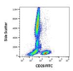 CD28 Antibody in Flow Cytometry (Flow)