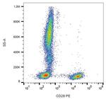 CD28 Antibody in Flow Cytometry (Flow)