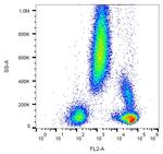 CD48 Antibody in Flow Cytometry (Flow)