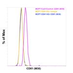 CD81 Antibody in Flow Cytometry (Flow)