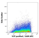 VCP Antibody in Flow Cytometry (Flow)