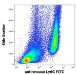 Ly-6G/Ly-6C Antibody in Flow Cytometry (Flow)