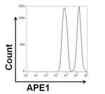 Mouse IgG2a Isotype Control in Flow Cytometry (Flow)