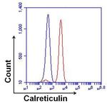 Mouse IgG2a Isotype Control in Flow Cytometry (Flow)