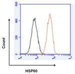 Mouse IgG2a Isotype Control in Flow Cytometry (Flow)