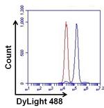 Mouse IgG2a Isotype Control in Flow Cytometry (Flow)