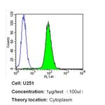 Nestin Antibody in Flow Cytometry (Flow)